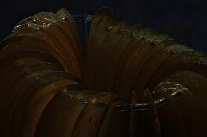 2013-11-10-20.26.05 ZS PMax.jpg
